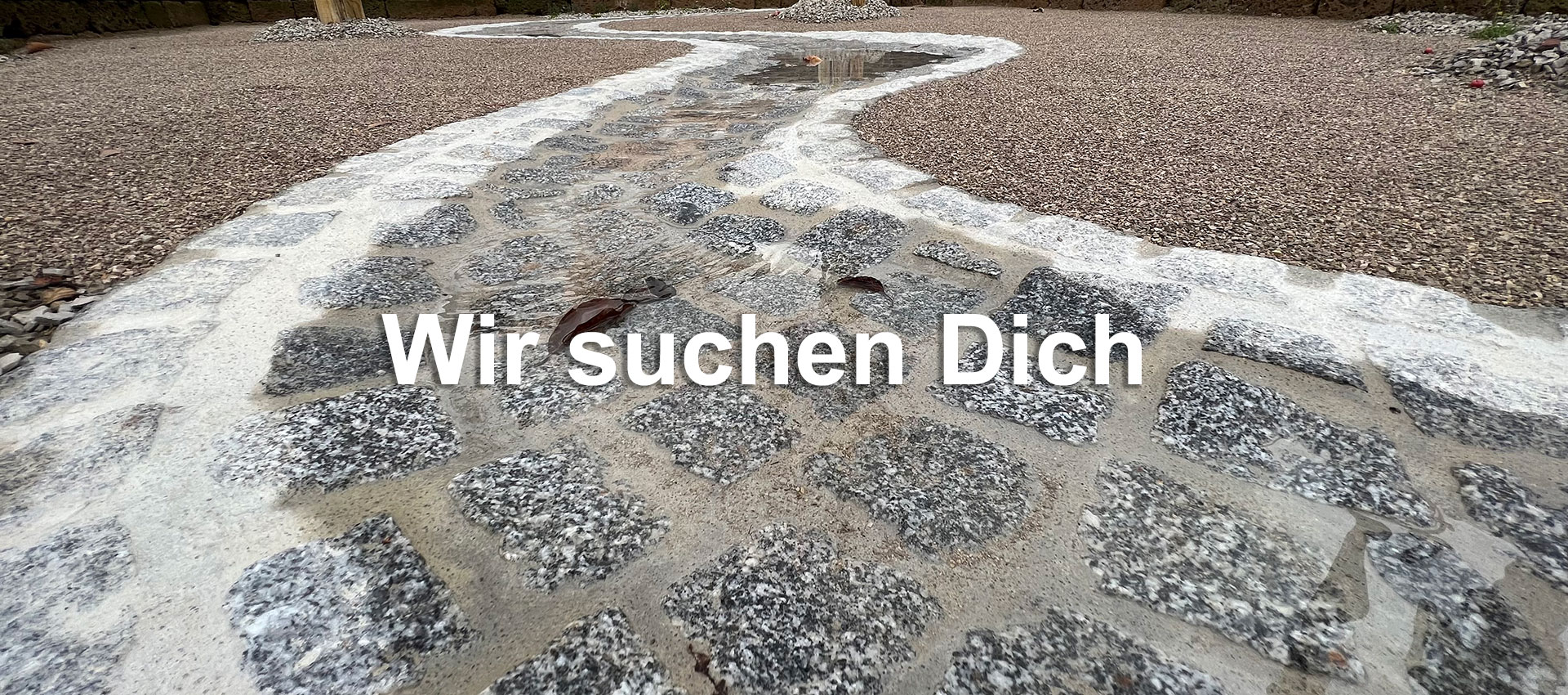 Wir suchen Dich